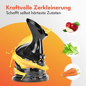 Produktbild für Entsafter LEBENLANG LBL3077G, Slow Juicer