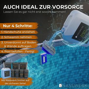 Produktbild für Algizid NASSWERK Algenvernichter mit Algo-Schield Formel