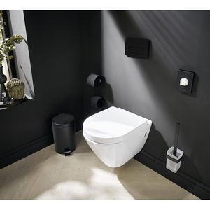 Produktbild für Toilettenpapier-Ersatzrollenhalter Emco Loft
