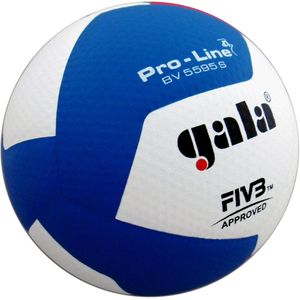 Produktbild für Volleyball gala-sport Pro-Line BV5595S mit FIVB Zertifizierung