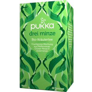 Tee Pukka Drei Minze, BIO