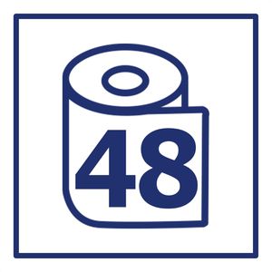 Produktbild für Toilettenpapier Green-Hygiene Rolf, 2-lagig