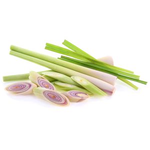 Produktbild für Duftkerzen pajoma 91050, Lemongras