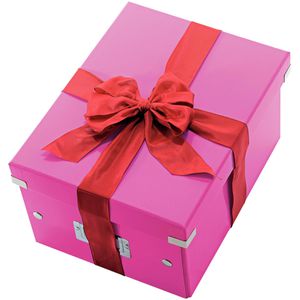 Produktbild für Aufbewahrungsbox Leitz 6044-00-23 Click&amp;Store, 21L