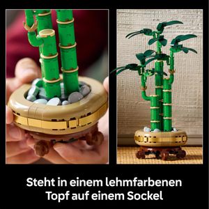 Produktbild für Klemmbausteine LEGO Botanicals 10344, ab 18 Jahre