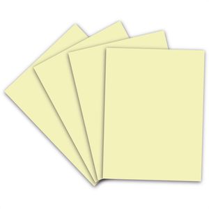 Produktbild für Kopierpapier Clairefontaine Evercolor 30005C, A3