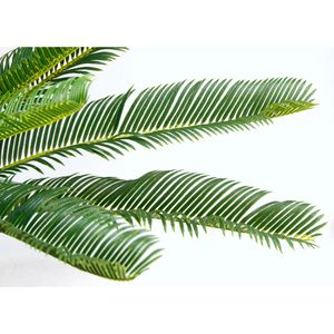 Produktbild für Kunstpflanze I.GE.A. Cycaspalme