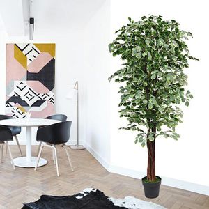 Produktbild für Kunstpflanze Decovego Ficus Benjamin