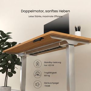 Produktbild für Schreibtisch FlexiSpot E5S, ahorn / grau