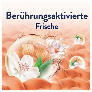 Produktbild für Weichspüler Lenor Jasminblüte &amp; Weiße Zeder