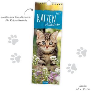 Produktbild für Streifenkalender Trötsch 2027806, Katzen