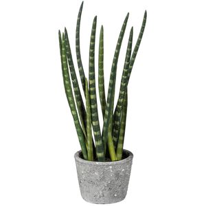 Kunstpflanze Creativ-green Sansevieria
