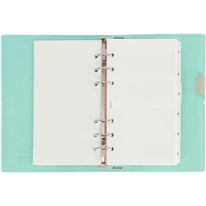 Produktbild für Systemplaner Filofax Domino Soft Organiser DuckEgg