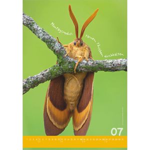 Produktbild für Bildkalender Alpha 117801, Tierisch Cool!, Jahr 2027