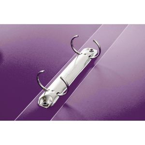 Produktbild für Ringbuch Pagna 20901-12, A4