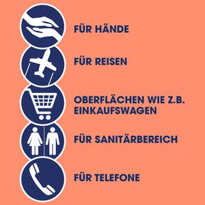 Produktbild für Desinfektionstücher Sagrotan 2in1