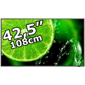 Digital-Signage NEC MultiSync E438, 42,5 Zoll
