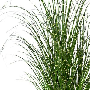 Produktbild für Kunstpflanze Creativ-green Miscanthus Zebrinus