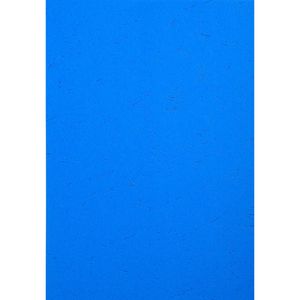 Produktbild für Deckblätter Exacompta Forever 2781c, A4