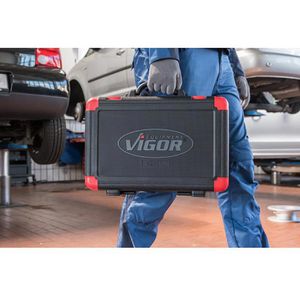 Produktbild für Steckschlüssel Vigor V2461N, 172-teilig