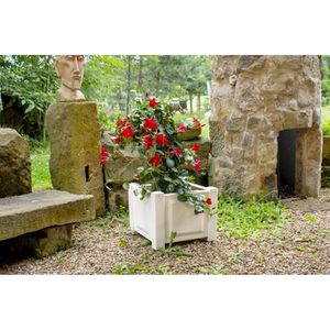 Produktbild für Pflanzkasten KHW Czardas 38001 weiß