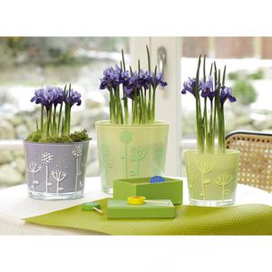 Produktbild für Kreidestifte Edding 4090-069, neonpink