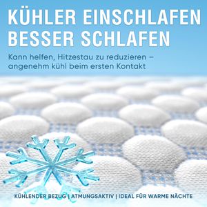 Produktbild für Kopfkissen Healthfix 100113, DreamFix