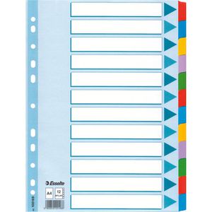 Produktbild für Register Esselte 100169, Mylar, A4, blanko