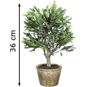 Produktbild für Kunstpflanze Creativ-green Olivenbäumchen
