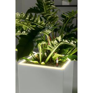 Produktbild für Übertopf Lechuza CANTO Premium 40 LED high, grau, 40x76x40 cm