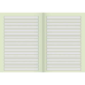 Produktbild für Schulheft Brunnen 104438202, für 2. Klasse, A4