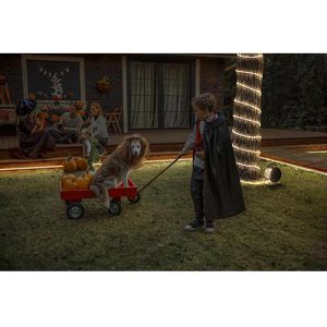 Produktbild für Lichtschlauch OSRAM OUTDOOR FLEX, LED, weiß + farbig