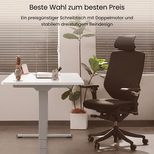 Produktbild für Schreibtisch FlexiSpot E5S, weiß / grau