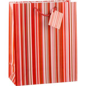 Produktbild für Geschenktüte TSI 85315 Colorful Lines