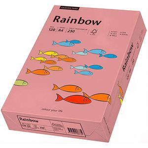 Produktbild für Kopierpapier Papyrus Rainbow 88042546