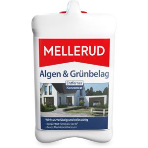 Grünbelagentferner
