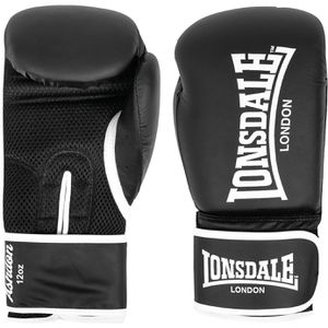 Boxhandschuhe