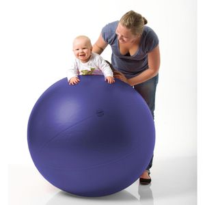 Togu Gymnastikball Theragym Ball ABS, groß, Ø 85cm, blau/lila – Böttcher AG