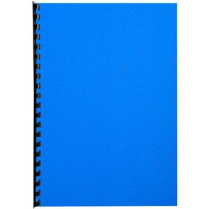 Produktbild für Deckblätter Exacompta Forever 2781c, A4