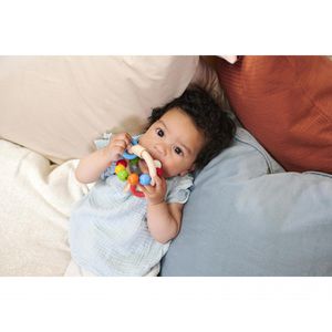 Produktbild für Motorikspielzeug Eichhorn Baby, 100017040