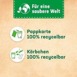 Produktbild für WC-Duftspüler WC-Frisch Kraft Aktiv Frische Brise