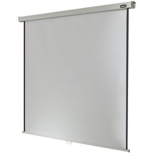 Beamer-Leinwand Celexon Rollo Professional