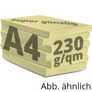 Produktbild für Kopierpapier Papyrus Rainbow 88376505