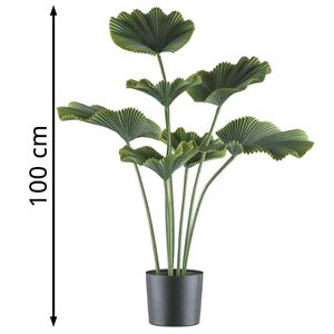 Produktbild für Kunstpflanze Creativ-green Strahlenpalme grün