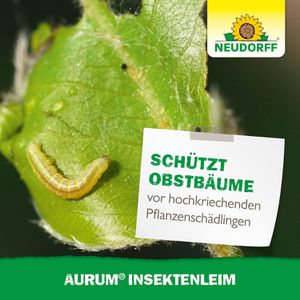 Produktbild für Leimring Neudorff 03016 Insektenleim, zum Aufstreichen