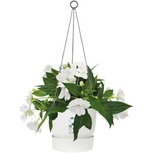 Produktbild für Blumenampel elho Greenville weiß