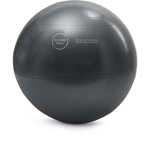 Produktbild für Sitzball Sitting-Ball ALFA, belastbar bis 100 kg