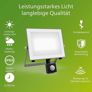 Produktbild für LED-Außenstrahler Philips Lois, IP65 wasserdicht