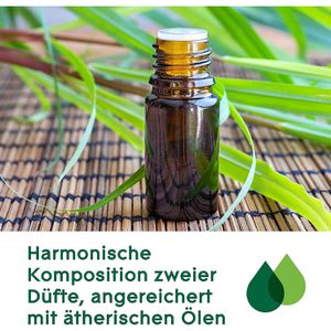 Produktbild für Duftöl glade Aromatherapy Bergamotte Zitronengras