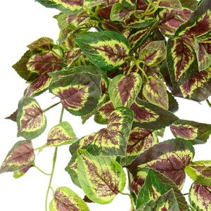 Produktbild für Kunstpflanze I.GE.A. Buntnessel